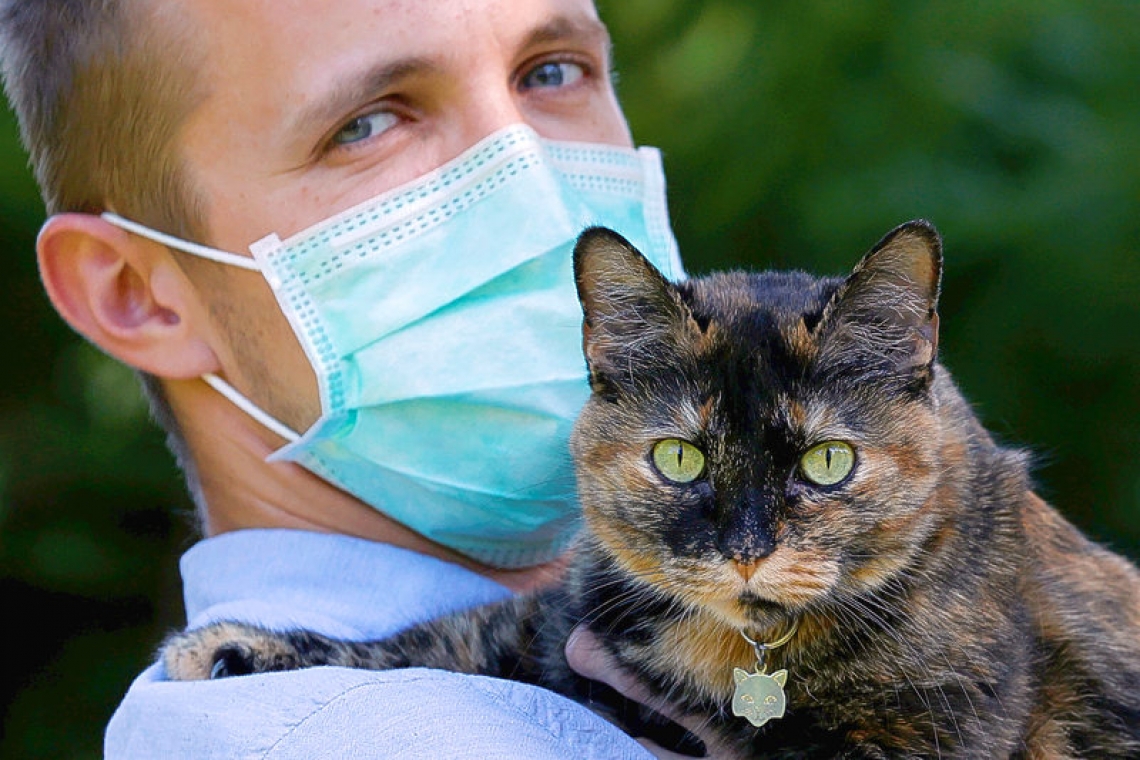 French cat survives coronavirus infection